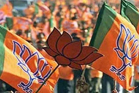 BJP on 'lotus bloom' in Kashmir polls: 'Slap in the face of separatists'