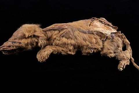 Image source: Government of Yukon