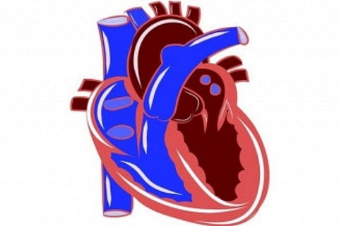 Image Courtesy : IANS