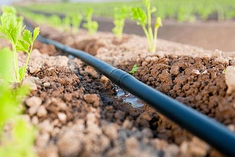 PM lauds TN farmer Subramani for using drip irrigation