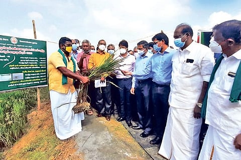 Farmers interacting with the Central team in Thanjavur on Wednesday.