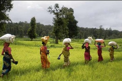 Farm markets need to be liberalised: FM