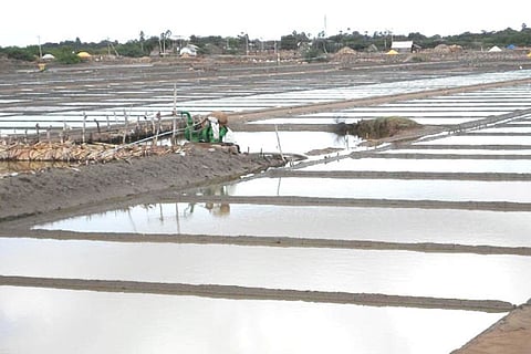 The Vedaranyam pans account for as much as 5 lakh tonnes of salt production every year
