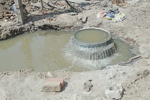 The practice of letting sewage into the stormwater drain is polluting the Pallavaram Periya Eri Lake