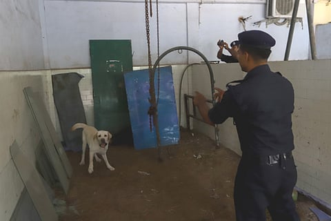 MVC launches training programme for animal disaster management