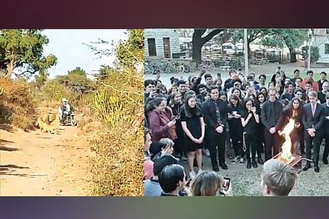 Trending in TN: Japanese smitten by Bengali, University mourns 'brother' fish's death, Well-behaving lions