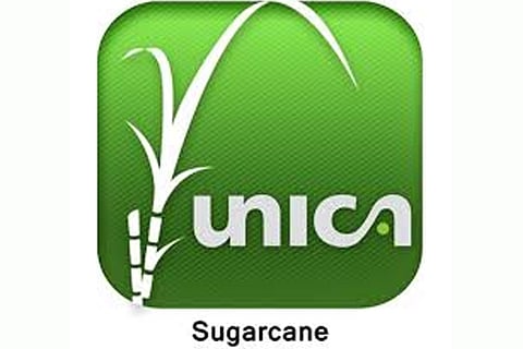 The Brazilian Sugarcane Industry Association (Image courtesy: Facebook)