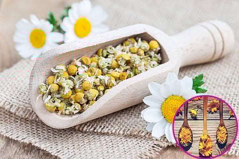 Use the power of flowers in your skincare regime