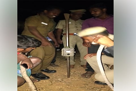 Foresters checking the trap camera for images of the animal that killed the goats