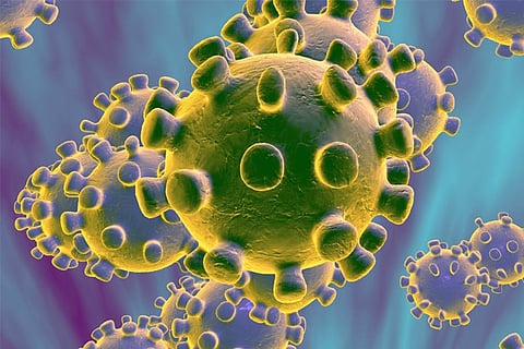 Two new cases of coronavirus detected in UAE, infection cases rise to 7