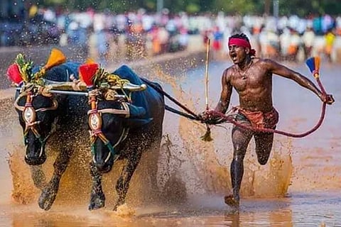 Rijiju calls 'India's Usain Bolt' Srinivasa Gowda for trials