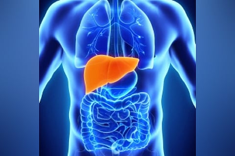 Liver cirrhosis may go undiagnosed over 1-2 decades