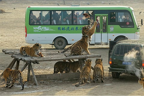 Image courtesy: Reuters