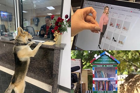 Trending in TN: Free mini libraries at Mizoram, Woman’s hack to check designs in online shopping, Pet dog ‘reports’ himself missing
