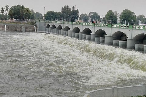 Govt prohibits 8 industries in Cauvery Delta