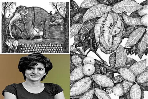 Visuals from the book Summer?s Children; Anpu Varkey