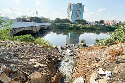 Sewage is let into the Cooum for which the government has allotted Rs 2,372 crore to set up an STP