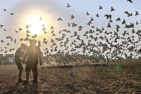 Conservancy workers will collect trash from the beach round the clock, says Chennai Corporation Commissioner