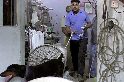 A sniffer dog being pressed into service at the crime spot in Erode district on Monday