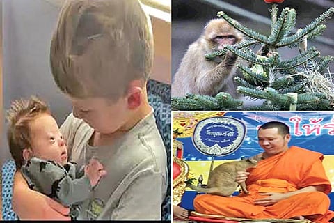 Trending in TN: Video of boy singing to his down syndrome brother, cat disturbing monk during prayer and much more..