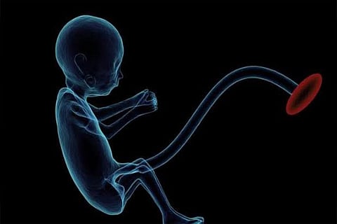 Over 95 pc women do not regret having an abortion: Study