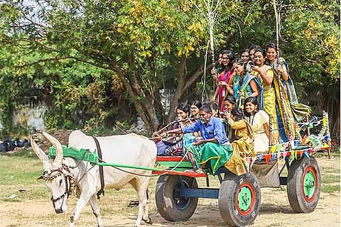 Students of Dr. MGR college of arts and science for women celebrating pongal