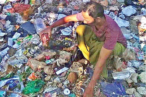 The community dog?s head was found on Cooum riverbed