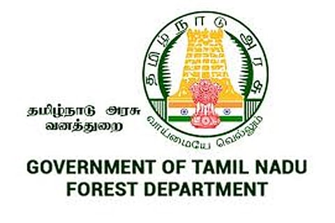Forest department