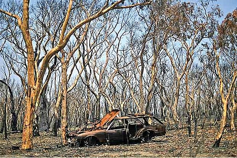 Largest Oz bushfire brought under control after 3 months