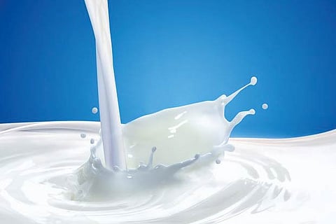 Drinking low-fat milk linked to less aging in adults