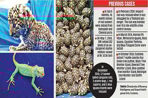 Source: Directorate of Revenue Intelligence and Airport Intelligence Unit, Customs.