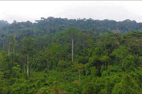 Langar Baba, 'Encyclopedia of forest' among 118 to get Padma Shri