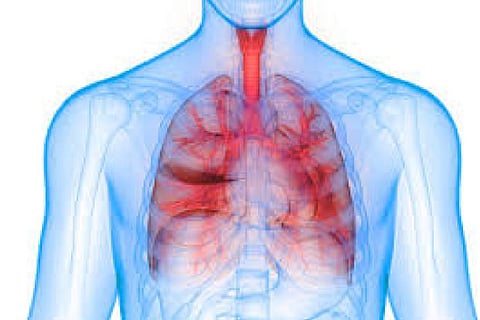 COPD can lead to heart disease in patients