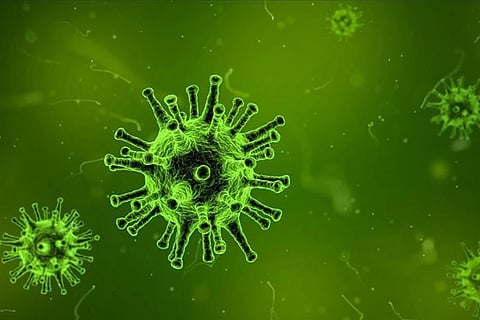 Sri Lanka confirms 1st case of new virus, a Chinese tourist