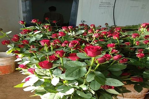 Representative image