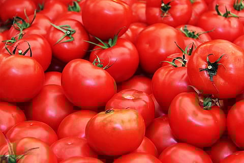 Tomato prices skyrocket to Rs 70 per kg in Delhi-NCR