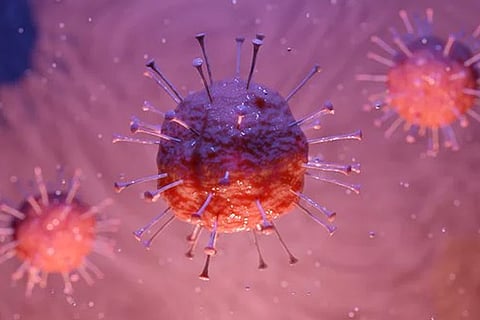 How Covid-19 virus damages the endocrine system