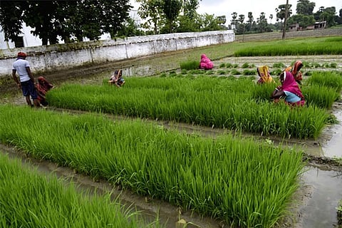 Image Courtesy: IANS