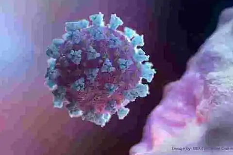 Image Courtesy: Reuters