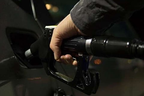 Representation Image (IANS)