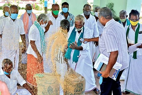 Aggrieved farmers spilling paddy seeds in protest against non-release of water for cultivation.