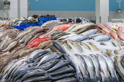 Catla, tuna fishfeature in State dietary advisory