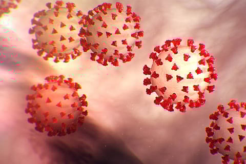 Image Courtesy: Twitter