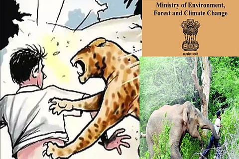 Wild animal-attack victims to get Rs 5L compensation