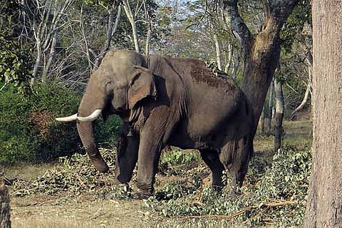 Representative Image