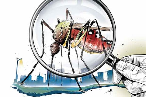 Coronavirus is not transmitted by mosquitoes, study shows