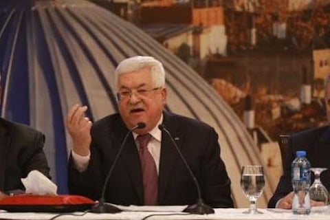 Egyptian FM, Palestinian prez discuss Israeli annexation plan