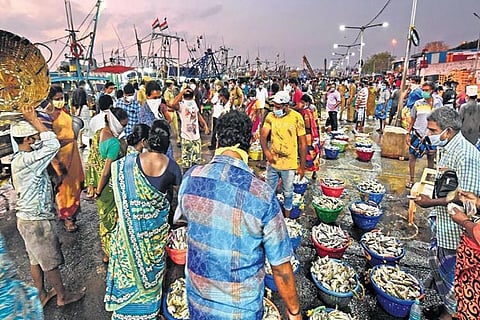 File photo of crowded Kasimedu fish market