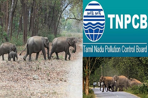 Illegal brick kilns wiping out elephant corridors, says plea