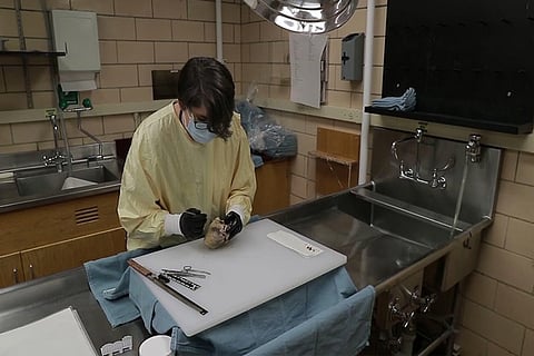 Silent spread of virus keeps scientists grasping for clues